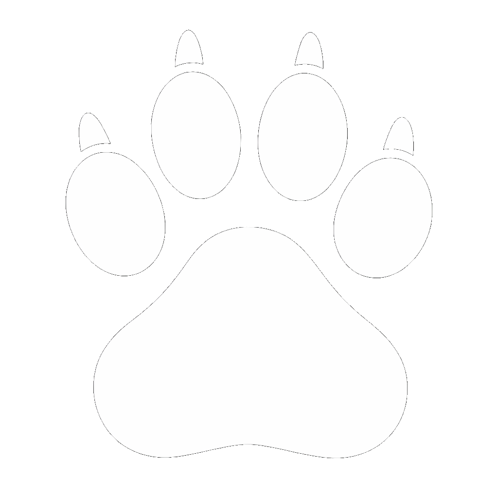 Especie Gato